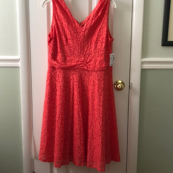 Roz & Ali Dresses & Skirts - NWT Roz & Ali Petite size 14 coral lace dress